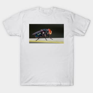 Fly T-Shirt